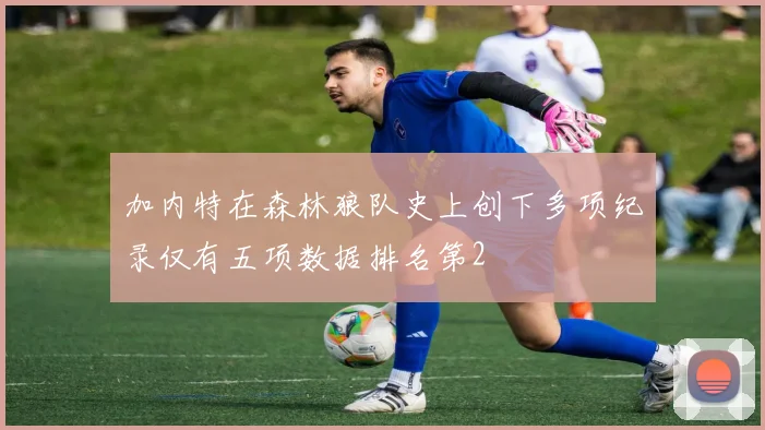 加内特在森林狼队史上创下多项纪录仅有五项数据排名第2