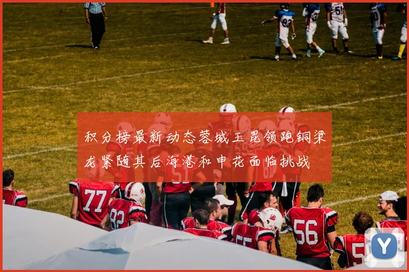 积分榜最新动态蓉城玉昆领跑铜梁龙紧随其后海港和申花面临挑战